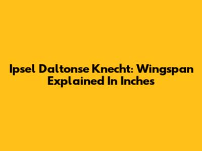 Ipsel Daltonse Knecht: Wingspan Explained In Inches