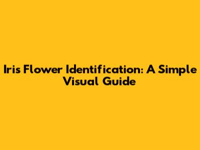 Iris Flower Identification: A Simple Visual Guide