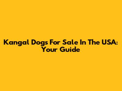 Kangal Dogs For Sale In The USA: Your Guide