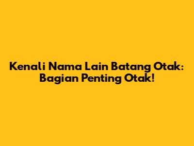 Kenali Nama Lain Batang Otak: Bagian Penting Otak!