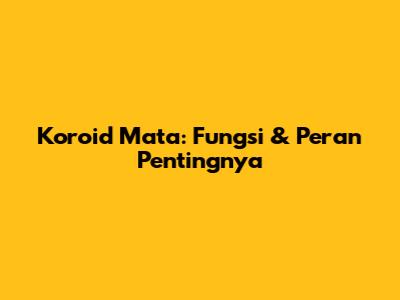Koroid Mata: Fungsi & Peran Pentingnya
