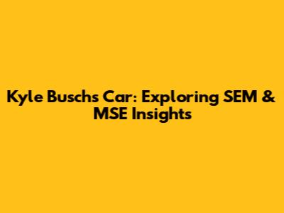 Kyle Busch's Car: Exploring SEM & MSE Insights