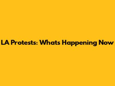 LA Protests: What's Happening Now