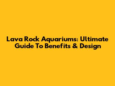 Lava Rock Aquariums: Ultimate Guide To Benefits & Design