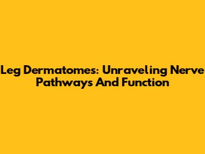 Leg Dermatomes: Unraveling Nerve Pathways And Function