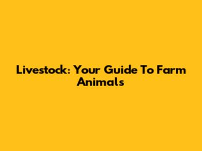 Livestock: Your Guide To Farm Animals