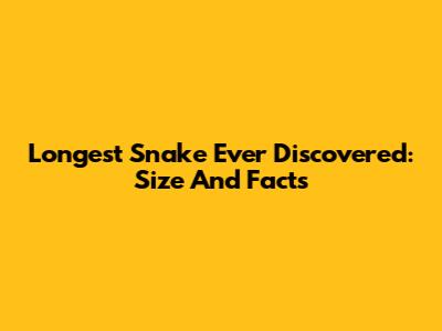 Longest Snake Ever Discovered: Size And Facts