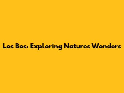 Los Bos: Exploring Nature's Wonders