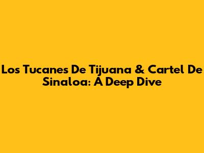 Los Tucanes De Tijuana & Cartel De Sinaloa: A Deep Dive