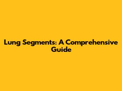 Lung Segments: A Comprehensive Guide