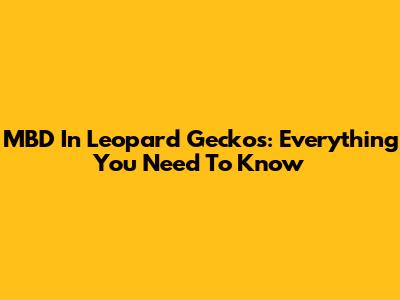 MBD In Leopard Geckos: Everything You Need To Know