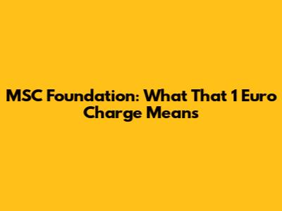 MSC Foundation: What That 1 Euro Charge Means