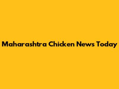 Maharashtra Chicken News Today