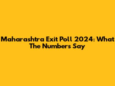Maharashtra Exit Poll 2024: What The Numbers Say