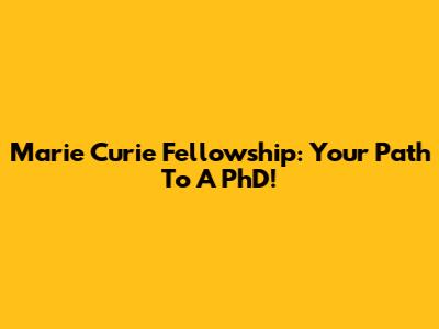 Marie Curie Fellowship: Your Path To A PhD!