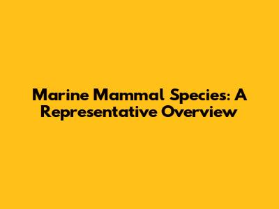 Marine Mammal Species: A Representative Overview