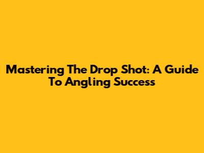 Mastering The Drop Shot: A Guide To Angling Success