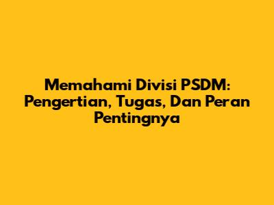 Memahami Divisi PSDM: Pengertian, Tugas, Dan Peran Pentingnya