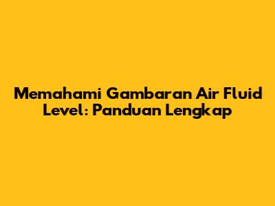 Memahami Gambaran Air Fluid Level: Panduan Lengkap