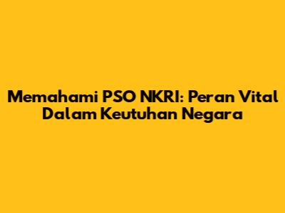 Memahami PSO NKRI: Peran Vital Dalam Keutuhan Negara
