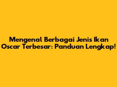 Mengenal Berbagai Jenis Ikan Oscar Terbesar: Panduan Lengkap!