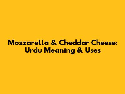Mozzarella & Cheddar Cheese: Urdu Meaning & Uses