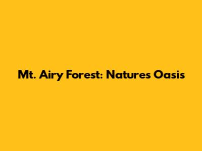 Mt. Airy Forest: Nature's Oasis