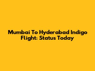 Mumbai To Hyderabad Indigo Flight: Status Today