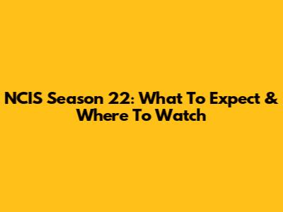 NCIS Season 22: What To Expect & Where To Watch