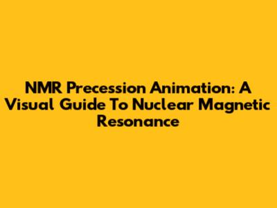 NMR Precession Animation: A Visual Guide To Nuclear Magnetic Resonance