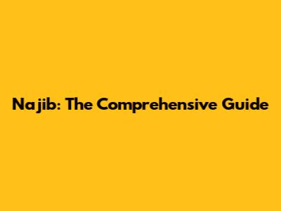 Najib: The Comprehensive Guide