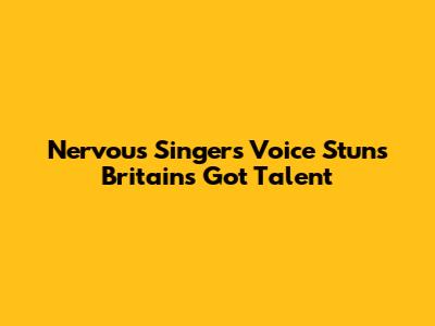 Nervous Singer's Voice Stuns Britain's Got Talent