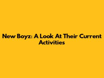 New Boyz: A Look At Their Current Activities