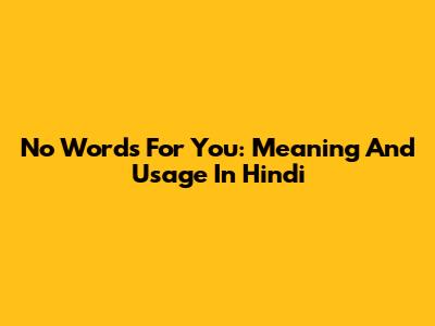 No Words For You: Meaning And Usage In Hindi