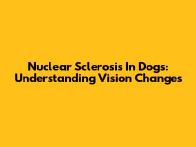 Nuclear Sclerosis In Dogs: Understanding Vision Changes