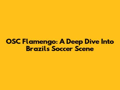OSC Flamengo: A Deep Dive Into Brazil's Soccer Scene