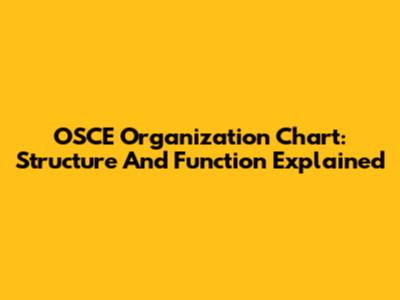 OSCE Organization Chart: Structure And Function Explained