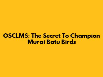 OSCLMS: The Secret To Champion Murai Batu Birds