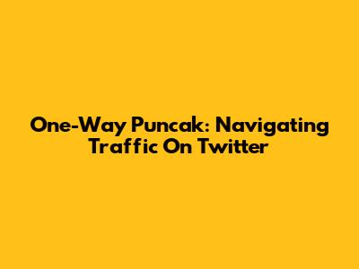 One-Way Puncak: Navigating Traffic On Twitter