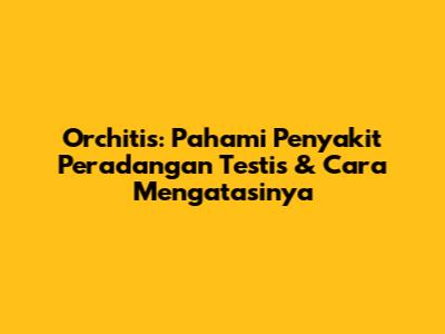 Orchitis: Pahami Penyakit Peradangan Testis & Cara Mengatasinya
