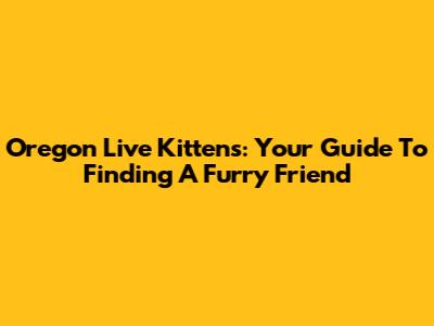 Oregon Live Kittens: Your Guide To Finding A Furry Friend