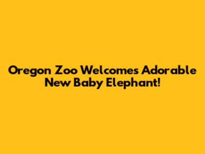 Oregon Zoo Welcomes Adorable New Baby Elephant!