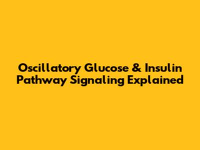 Oscillatory Glucose & Insulin Pathway Signaling Explained