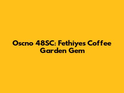 Oscno 48SC: Fethiye's Coffee Garden Gem