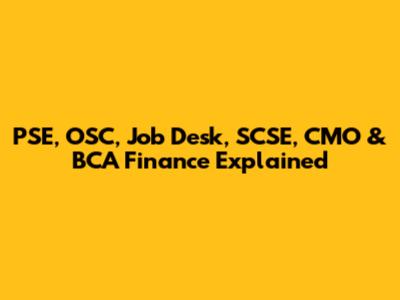 PSE, OSC, Job Desk, SCSE, CMO & BCA Finance Explained