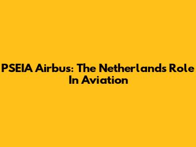 PSEIA Airbus: The Netherlands' Role In Aviation