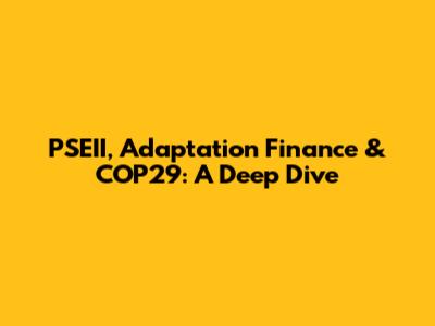 PSEII, Adaptation Finance & COP29: A Deep Dive