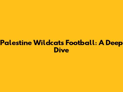 Palestine Wildcats Football: A Deep Dive