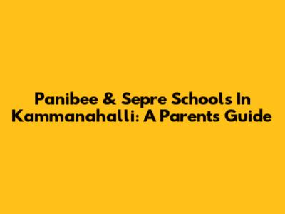 Panibee & Sepre Schools In Kammanahalli: A Parent's Guide