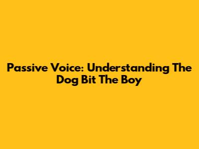 Passive Voice: Understanding 'The Dog Bit The Boy'